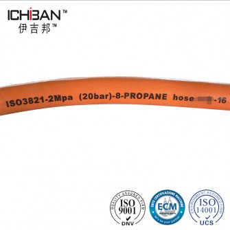Bs3213 Standard Competitive Quality Rubber L.P.Gas Hose