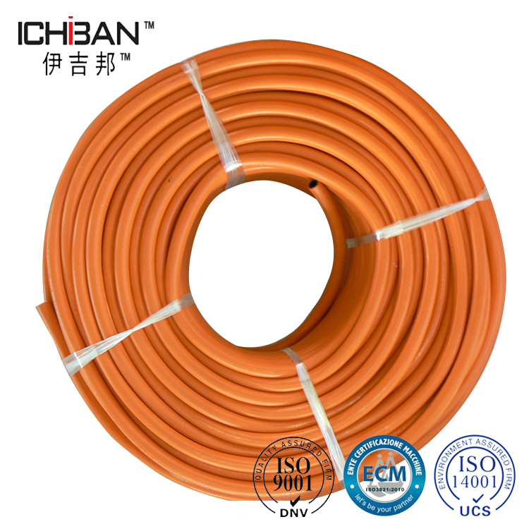 Bs3213-Standard-Competitive-Quality-Rubber-LPGas-Hose-Customized